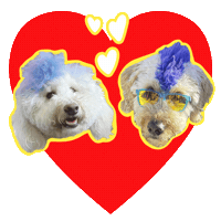 Puppy Love Dogs Sticker by Amazon Prime Video