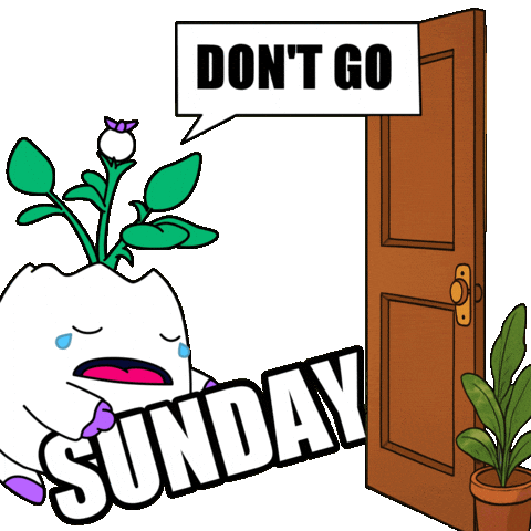 Working Sunday Evening Sticker by Magic Eden