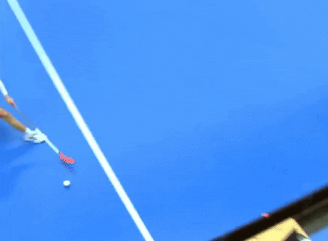 prosa391112 giphyupload GIF