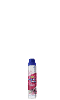 1001CarpetCare flowers fresh clean cleaning Sticker