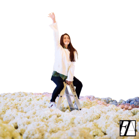 Sticker by Daruma Adv