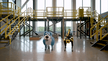 Artificial Intelligence Dog GIF by Storyful