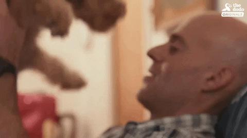 dog GIF by The Dodo