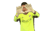 Celebrations Save Sticker by Fulham FC