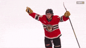 Chicago Blackhawks Win GIF by TheDreamTeam 