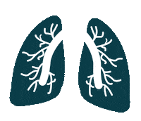 fgn-fortbildungen medical lunge medizin fortbildung Sticker