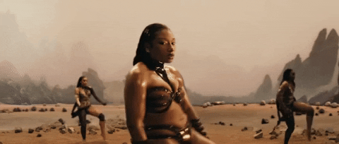 Cobra GIF by Megan Thee Stallion
