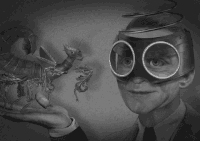colinraff weird creepy surreal colin raff GIF
