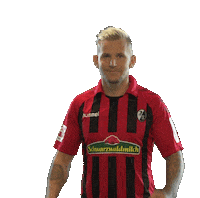 sc freiburg celebration Sticker by SCF