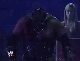 triple h wrestling GIF by WWE