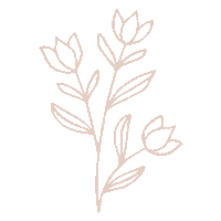 Magic Flowers Sticker by babelperu