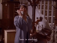 season 2 netflix GIF by Gilmore Girls 