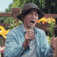Thats It Oh Yeah GIF by NETFLIX