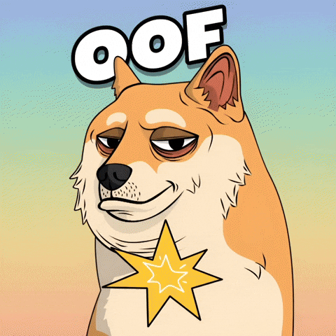 Fail Shiba Inu GIF by Doge Pound