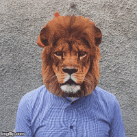 french lion GIF by The Leith Agency