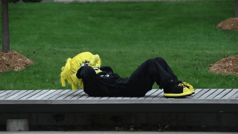 Wu_Shock giphyupload college wsu wu GIF