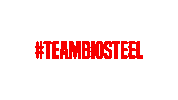 BioSteelSports hydration sports drink sportsdrink biosteel Sticker