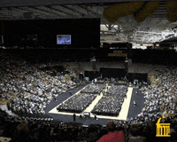 hawkeyes herky GIF by University of Iowa