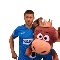 Andrej Kramaric Sport Sticker by TSG Hoffenheim