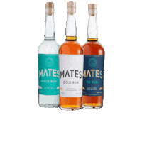 Fun Sun Sticker by Mates Rum