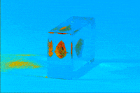 stop motion photography GIF by Caitlin Burns