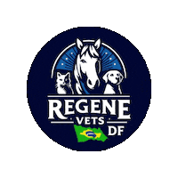 Df Brasilia Sticker by Regenevets