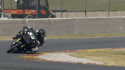 Brand Adventure GIF by Harley-Davidson