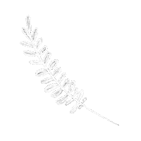 Lettering Plant Sticker