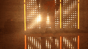 Softball Tennessee GIF by NCAA Championships