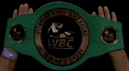 toprank fight boxing fighting espn GIF