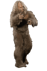 Dance Finger Guns Sticker by Jack Link's Jerky