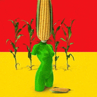 Corn GIF by The LSD Hotel
