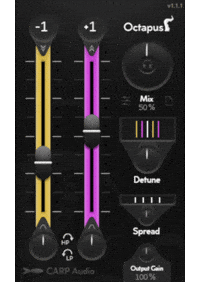 Au Vst GIF by CARP Audio