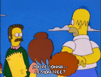 talking homer simpson GIF