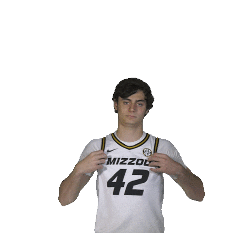 Basketball Sticker Sticker by MizzouHoops