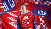 Daniel GIF by HC Dynamo Pardubice