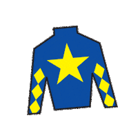 Horse Racing Sticker by Kentucky Derby