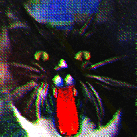 Digital Art Cat GIF by patternbase