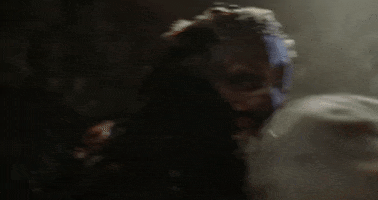 Halloween Bird GIF by Crypt TV