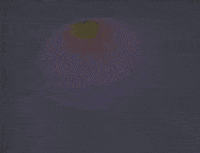 fuzzyghost fuzzyghost GIF
