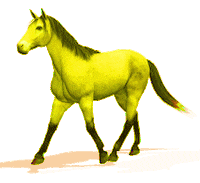 walking horse STICKER