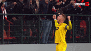 Happy Celebration GIF by Standard de Liège