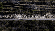 Bike Spain GIF by Intermarché-Wanty-Gobert Matériaux