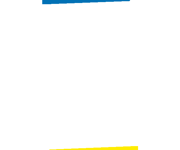 Sticker by Decathlon