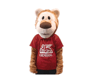 Lion Ski Sticker by Generali.si