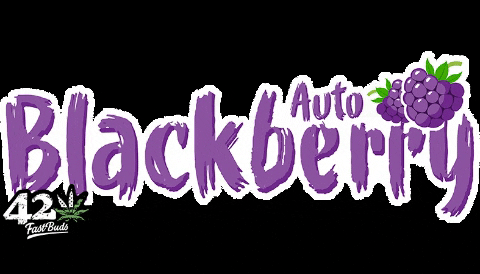 FastBuds giphygifmaker blackberry fastbuds fast buds GIF