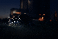 Satellite GIF by Harry Styles