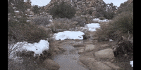 Education Biology GIF by DIIMSA Stock