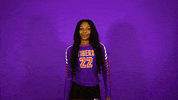 Clemsonvb Championshipbehavior GIF by Clemson Tigers
