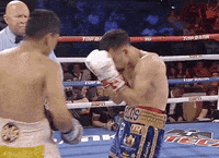 toprank fight fighting espn fighters GIF